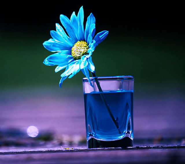 Blue flower glass water table free wallpaper for tablet - medium preview image