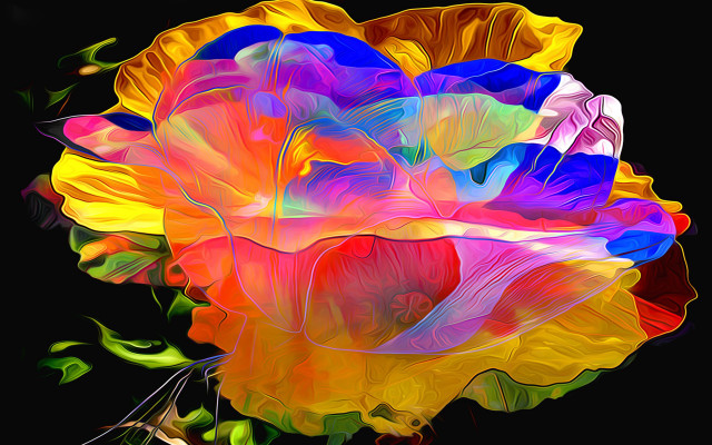 Colorful flower black background digital free wallpaper for desktop - medium preview image
