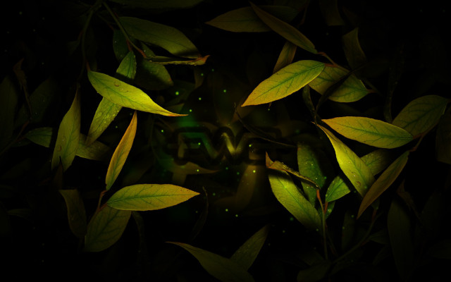 Green leafy plant light jungle free wallpaper for desktop - medium preview image