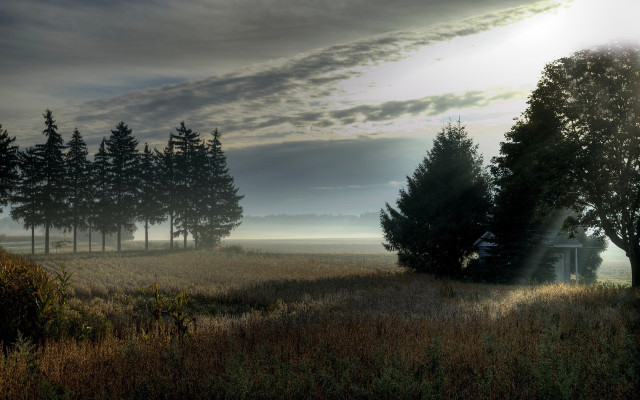 Field trees house cloud sunbeam free wallpaper for desktop - medium preview image