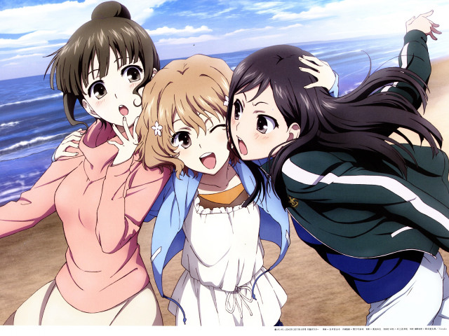 Three girls beach arms around free wallpaper for desktop - medium preview image
