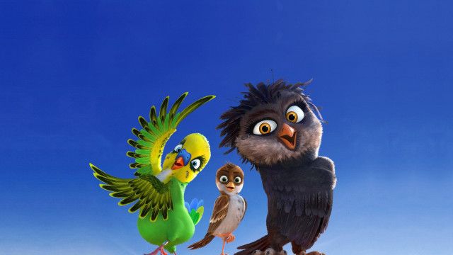 Birds hill blue sky flying free wallpaper for desktop - medium preview image