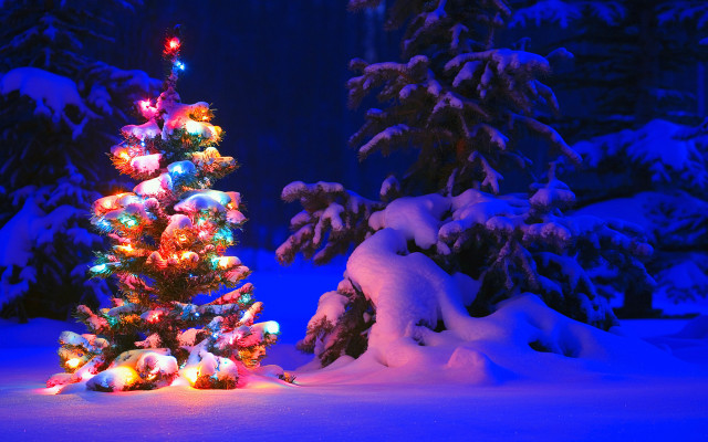 Christmas tree lit snow blue free wallpaper for desktop - medium preview image