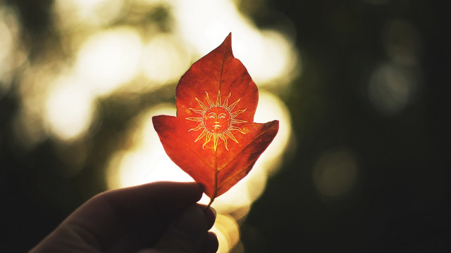 Red leaf sun design gollings free wallpaper for desktop - medium preview image