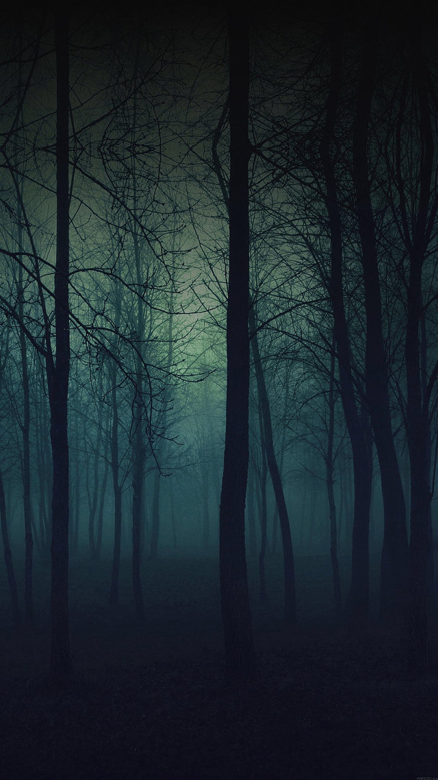 Dark forest fog night full free wallpaper for mobile - medium preview image