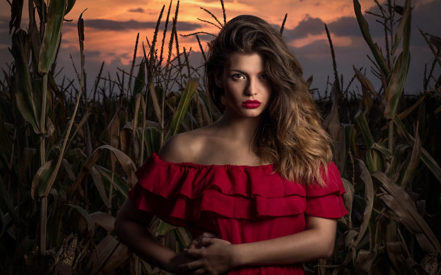 Woman red dress cornfield sunset free wallpaper for desktop - medium preview image