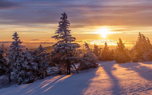 Sunset snowy mountain trees sky free wallpaper for desktop - medium preview image