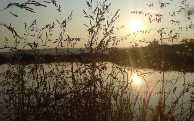 Lake sunset forest branch silhouette free wallpaper for desktop - medium preview image