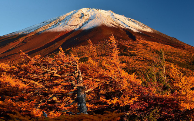 Mountain autumn leaves fire sky free wallpaper for desktop - medium preview image