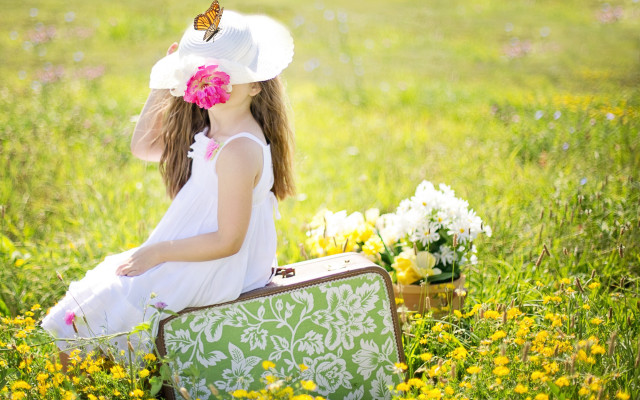 Little girl field suitcase butterfly free wallpaper for desktop - medium preview image