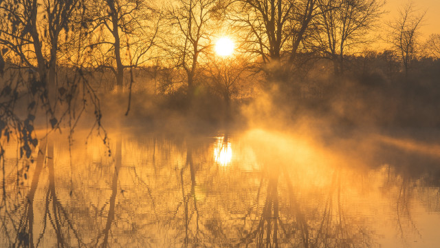 Lake fog trees sunset volumetric free wallpaper for desktop - medium preview image