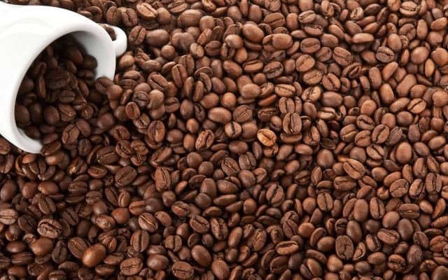 Coffee cup on spilled beans free wallpaper for desktop - medium preview image