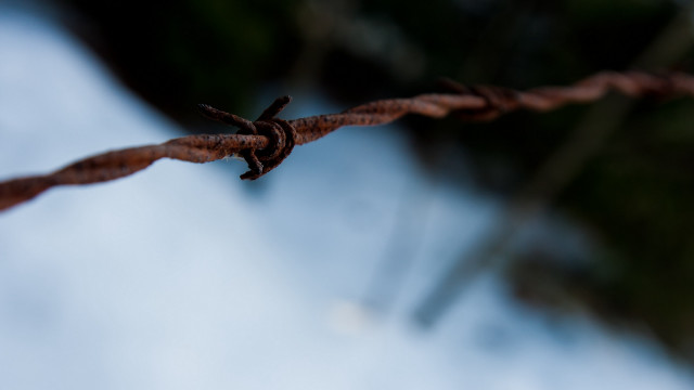 Barbed wire sky blurry tree free wallpaper for desktop - medium preview image