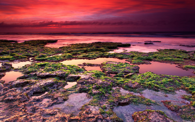 Red sky water rocks green free wallpaper for desktop - medium preview image