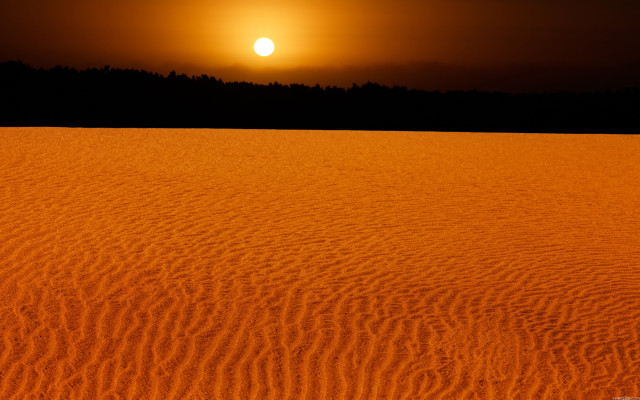Sunset sandy trees orange sky free wallpaper for desktop - medium preview image