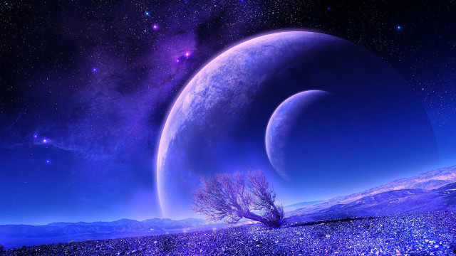 Purple planet tree foreground starry free wallpaper for desktop - medium preview image