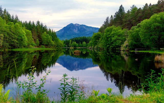 Lake mountains trees cloudy sky #11 free wallpaper for desktop - medium preview image