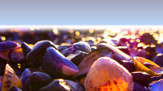 Colorful rocks beach ocean sunset free wallpaper for desktop - medium preview image