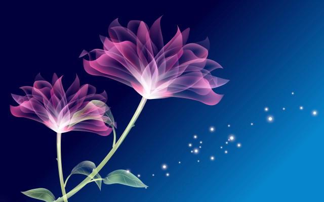 Flowers blue background stars sky free wallpaper for desktop - medium preview image