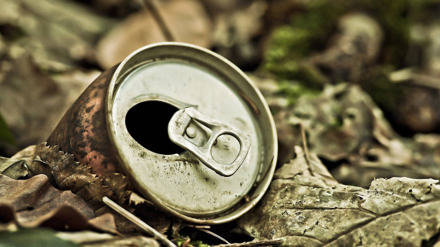 Soda can woods leaves hole free wallpaper for desktop - medium preview image