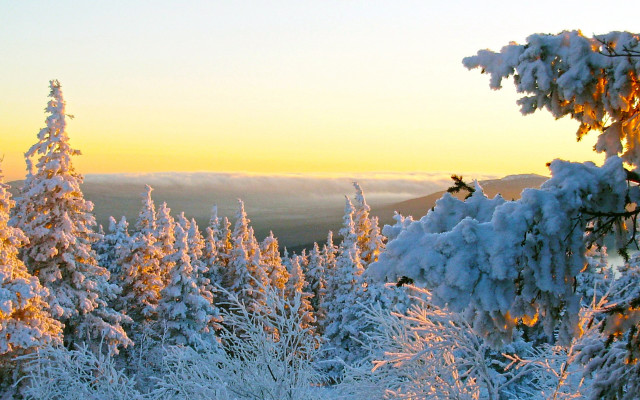 Snow forest sunset skier winter free wallpaper for desktop - medium preview image