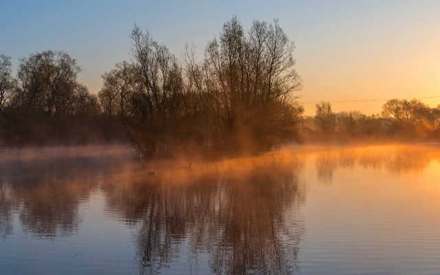 Lake fog mountains sunset birds free wallpaper for desktop - medium preview image