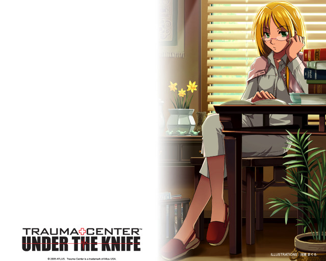 Woman sitting desk laptop plant free wallpaper for desktop - medium preview image