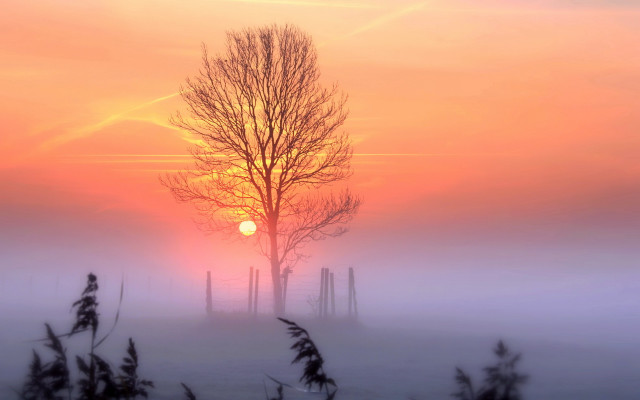 Foggy sunset tree fence mountain free wallpaper for desktop - medium preview image