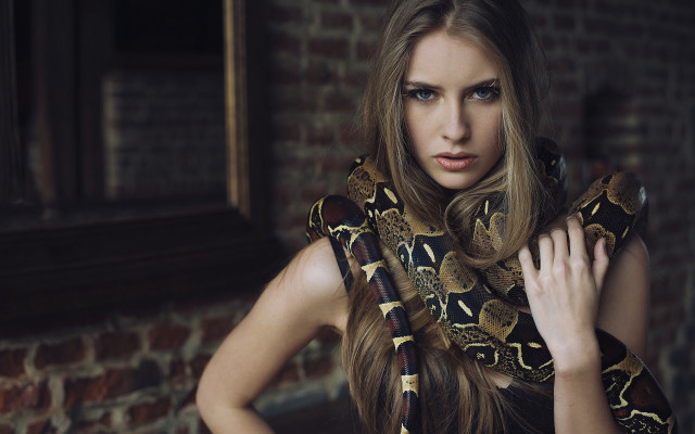 Blonde woman snake brick wall free wallpaper for desktop - medium preview image