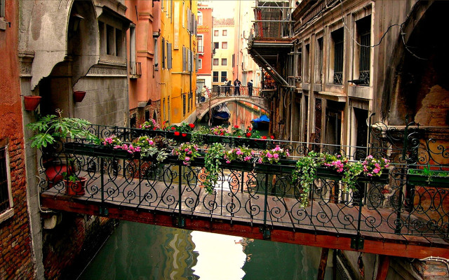 Bridge flowers canal city people free wallpaper for desktop - medium preview image