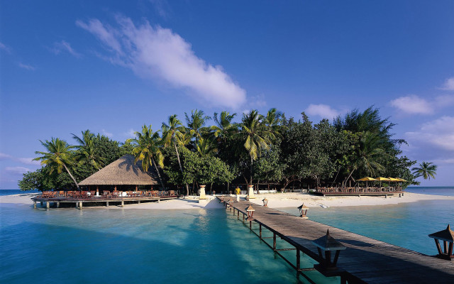 Dock beach hut palm trees free wallpaper for desktop - medium preview image