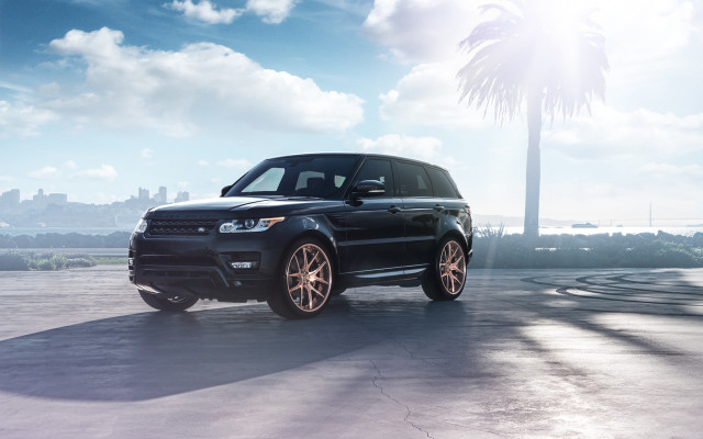 Black range rover beach palm free wallpaper for desktop - medium preview image