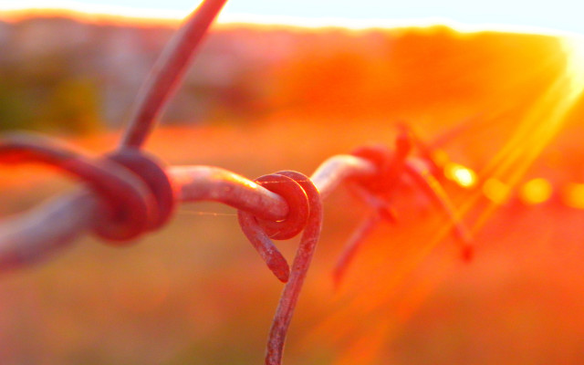 Barbed wire sunlight autumn fire free wallpaper for desktop - medium preview image