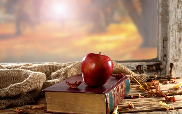 Apple book table window curtain free wallpaper for desktop - medium preview image