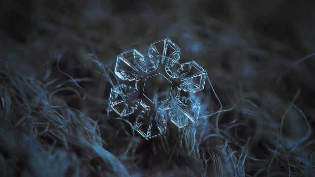 Snowflake grass night macro water free wallpaper for desktop - medium preview image