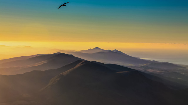 Bird mountain sunset ocean sky free wallpaper for desktop - medium preview image