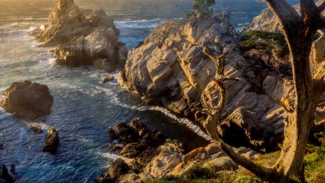 Rocky cliff water trees landscape free wallpaper for desktop - medium preview image