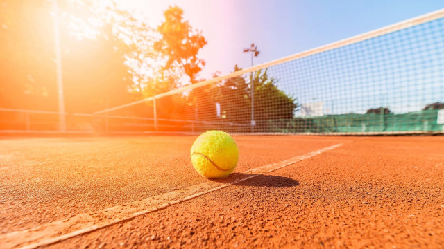 Tennis ball court net sunset free wallpaper for desktop - medium preview image
