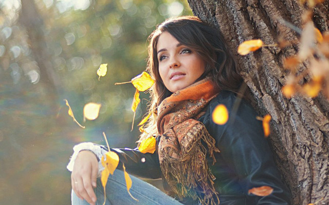 Woman sitting tree autumn leaves free wallpaper for desktop - medium preview image