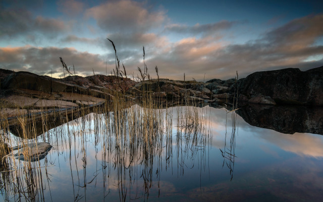 Pond reeds sky rocks cityscape free wallpaper for desktop - medium preview image