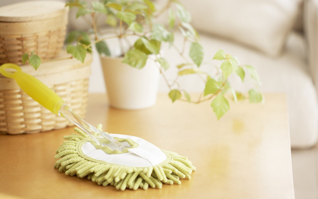 Green mop wooden table potted free wallpaper for desktop - medium preview image