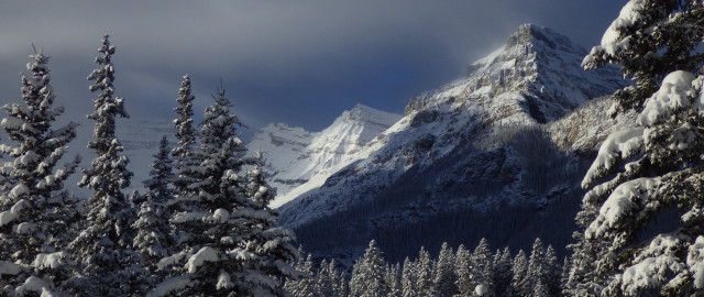 Snowy mountain forest clouds bushes free wallpaper for desktop - medium preview image