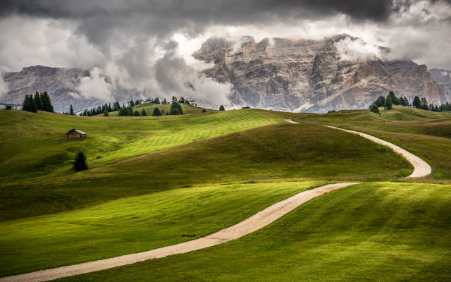 Lush green dirt road mountain free wallpaper for desktop - medium preview image