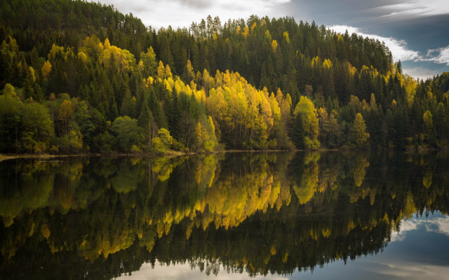 Lake trees clouds reflections autumn free wallpaper for desktop - medium preview image