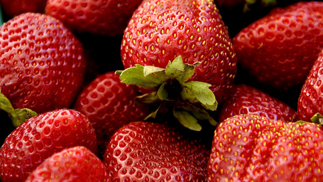 Strawberries leaves bluebowl closeup precisionism free wallpaper for desktop - medium preview image