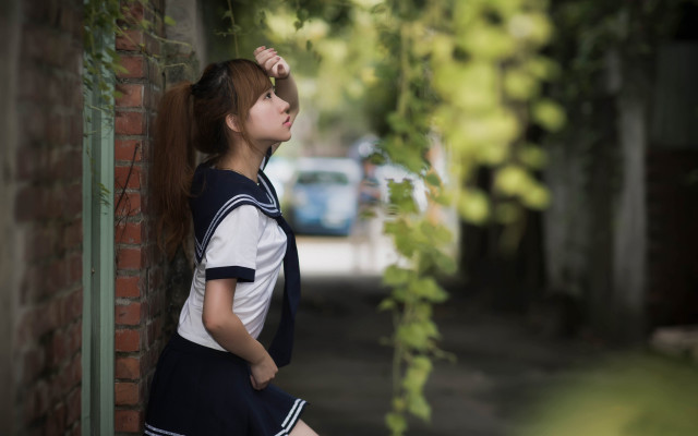 Girl ponytail brick wall school free wallpaper for desktop - medium preview image