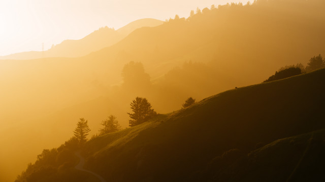 Mountain road trees dusk sunset free wallpaper for desktop - medium preview image