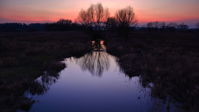 Water reflections sunset trees clouds free wallpaper for desktop - medium preview image
