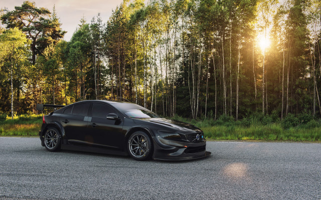 Black sports car forest road #2 free wallpaper for desktop - medium preview image
