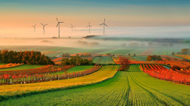Field windmills fog background air free wallpaper for desktop - medium preview image
